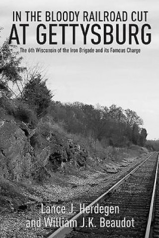 Kniha In the Bloody Railroad Cut at Gettysburg Lance J. Herdegen