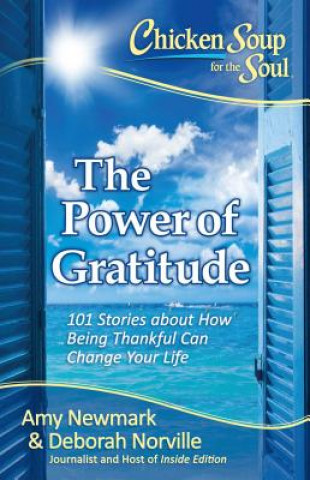 Kniha The Power of Gratitude Amy Newmark