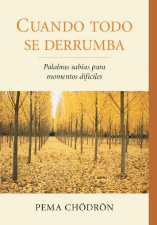 Könyv Cuando Todo se Derrumba / When Things Fall Apart Pema Chodron