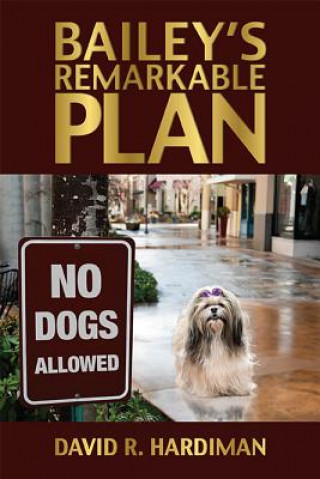 Könyv Bailey's Remarkable Plan David R. Hardiman