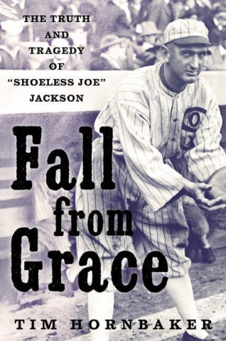 Book Fall from Grace Tim Hornbaker