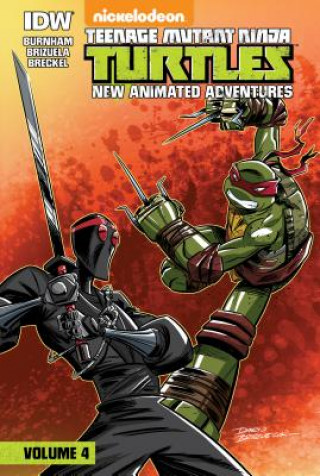 Kniha Teenage Mutant Ninja Turtles 4 Erik Burnham