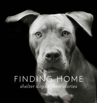 Książka Finding Home Traer Scott