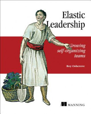 Kniha Elastic Leadership Roy Osherove