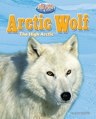 Carte Arctic Wolf Laura Delallo