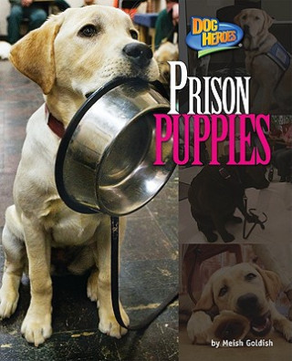 Könyv Prison Puppies Meish Goldish