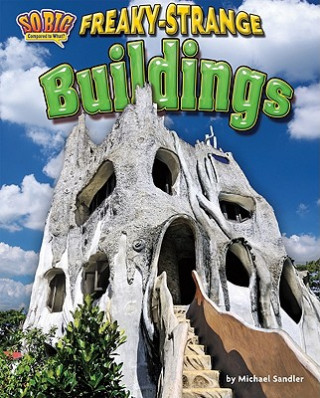 Könyv Freaky-Strange Buildings Michael Sandler