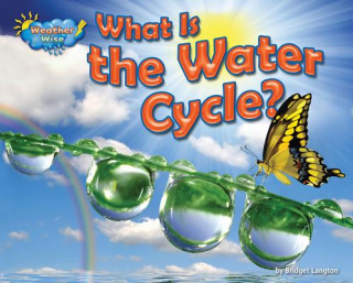 Kniha What Is the Water Cycle? Ellen Lawrence