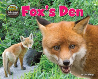 Kniha Fox's Den Dee Phillips