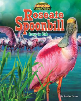 Book Roseate Spoonbill Stephen Person