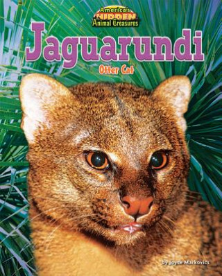 Książka Jaguarundi Joyce Markovics