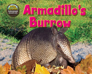 Kniha Armadillo's Burrow Dee Phillips