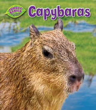 Carte Capybaras Rachel Lynette