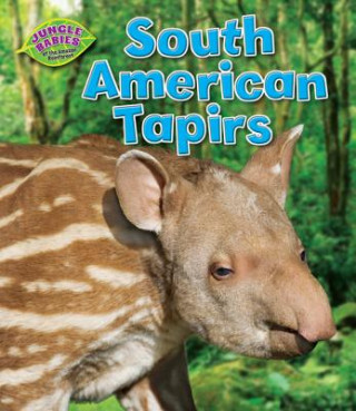 Carte South American Tapirs Rachel Lynette