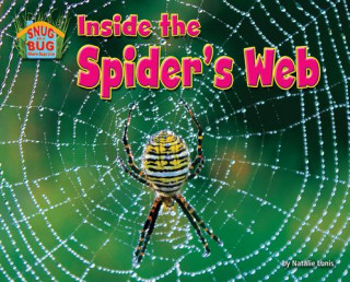 Könyv Inside the Spider’s Web Natalie Lunis