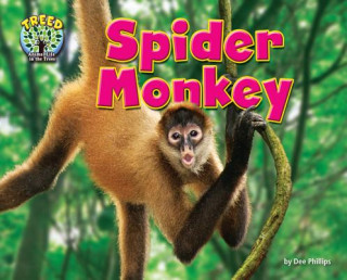 Könyv Spider Monkey Dee Phillips