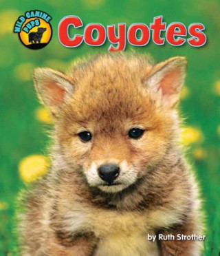 Knjiga Coyotes Ruth Strother