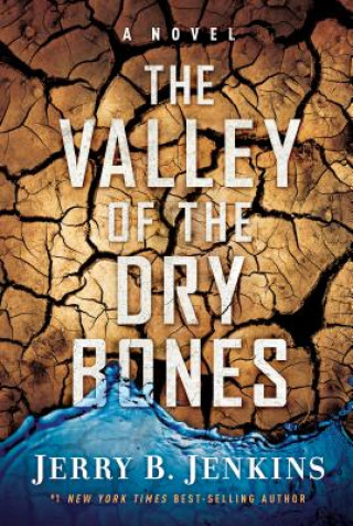 Boek VALLEY OF DRY BONES Jerry B. Jenkins