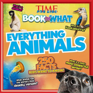 Kniha Everything Animals Catherine Nichols