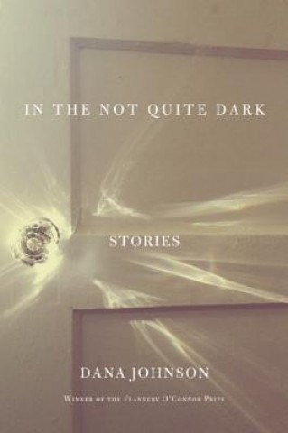 Könyv In the Not Quite Dark Dana Johnson
