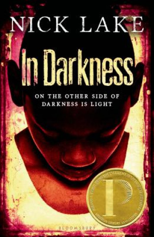 Könyv In Darkness Nick Lake