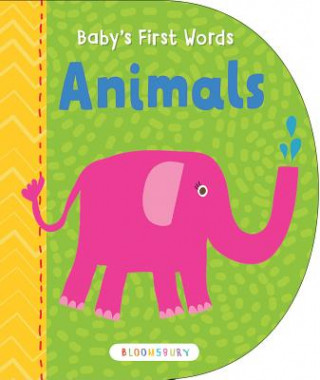 Livre Baby's First Words Lesley Grainger