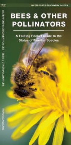 Kniha Bees & Other Pollinators James Kavanagh