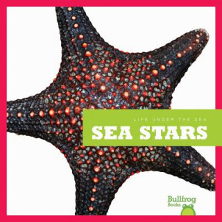 Libro Sea Stars Cari Meister