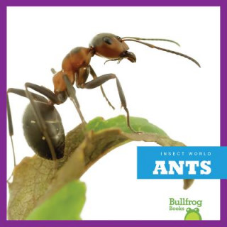 Book Ants Mari Schuh