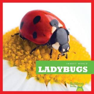 Kniha Ladybugs Mari Schuh
