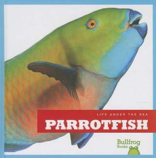 Könyv Parrotfish Cari Meister