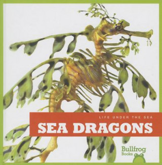 Carte Sea Dragons Cari Meister