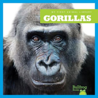 Book Gorillas Mari Schuh