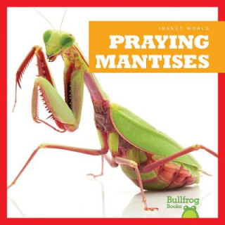 Kniha Praying Mantises Mari Schuh