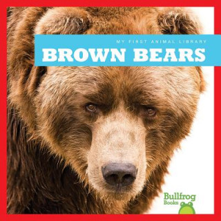 Knjiga Brown Bears Cari Meister