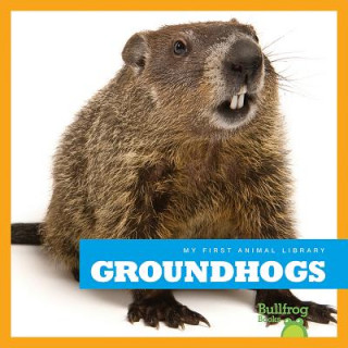 Knjiga Groundhogs Cari Meister