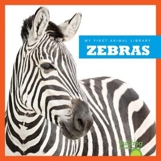 Könyv Zebras Cari Meister