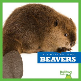 Knjiga Beavers Mari Schuh