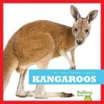 Kangaroos