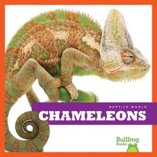 Carte Chameleons Cari Meister