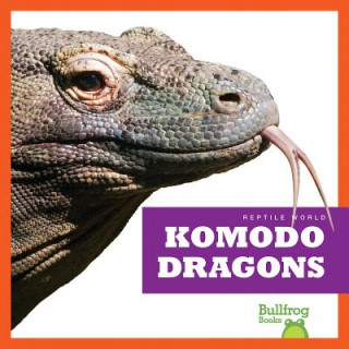 Książka Komodo Dragons Cari Meister