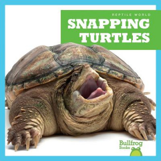 Knjiga Snapping Turtles Cari Meister