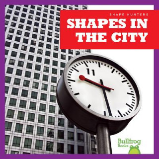 Livre Shapes in the City Jenny Fretland Van Voorst