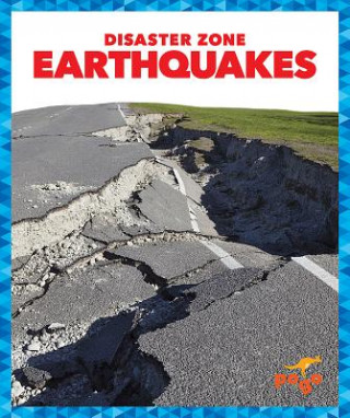 Buch Earthquakes Cari Meister