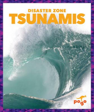 Könyv Tsunamis Cari Meister