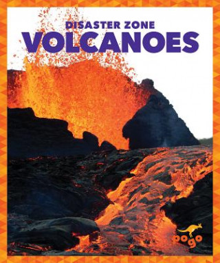 Könyv Volcanoes Cari Meister