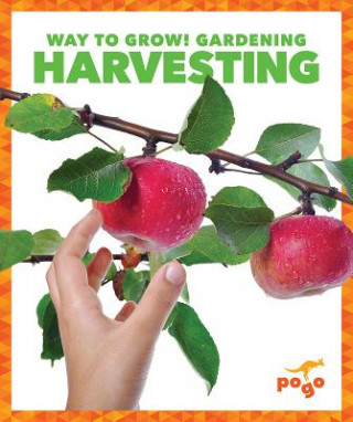 Книга Harvesting Rebecca Pettiford