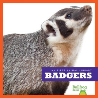 Knjiga Badgers Mari Schuh