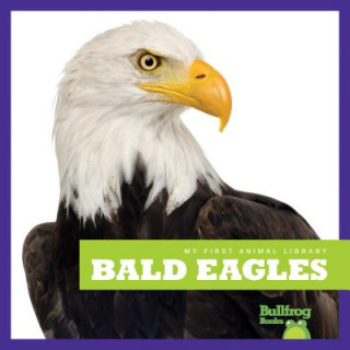 Knjiga Bald Eagles Mari Schuh
