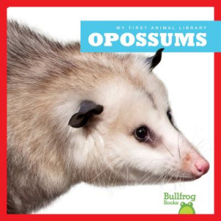 Kniha Opossums Mari Schuh